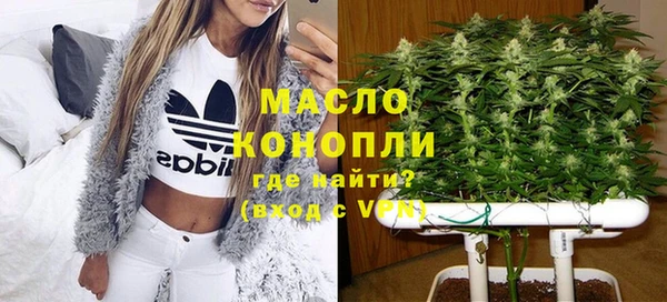 амф Бородино