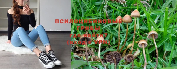 мескалин Бронницы