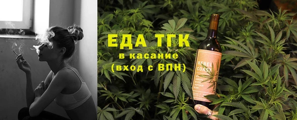 амф Бородино